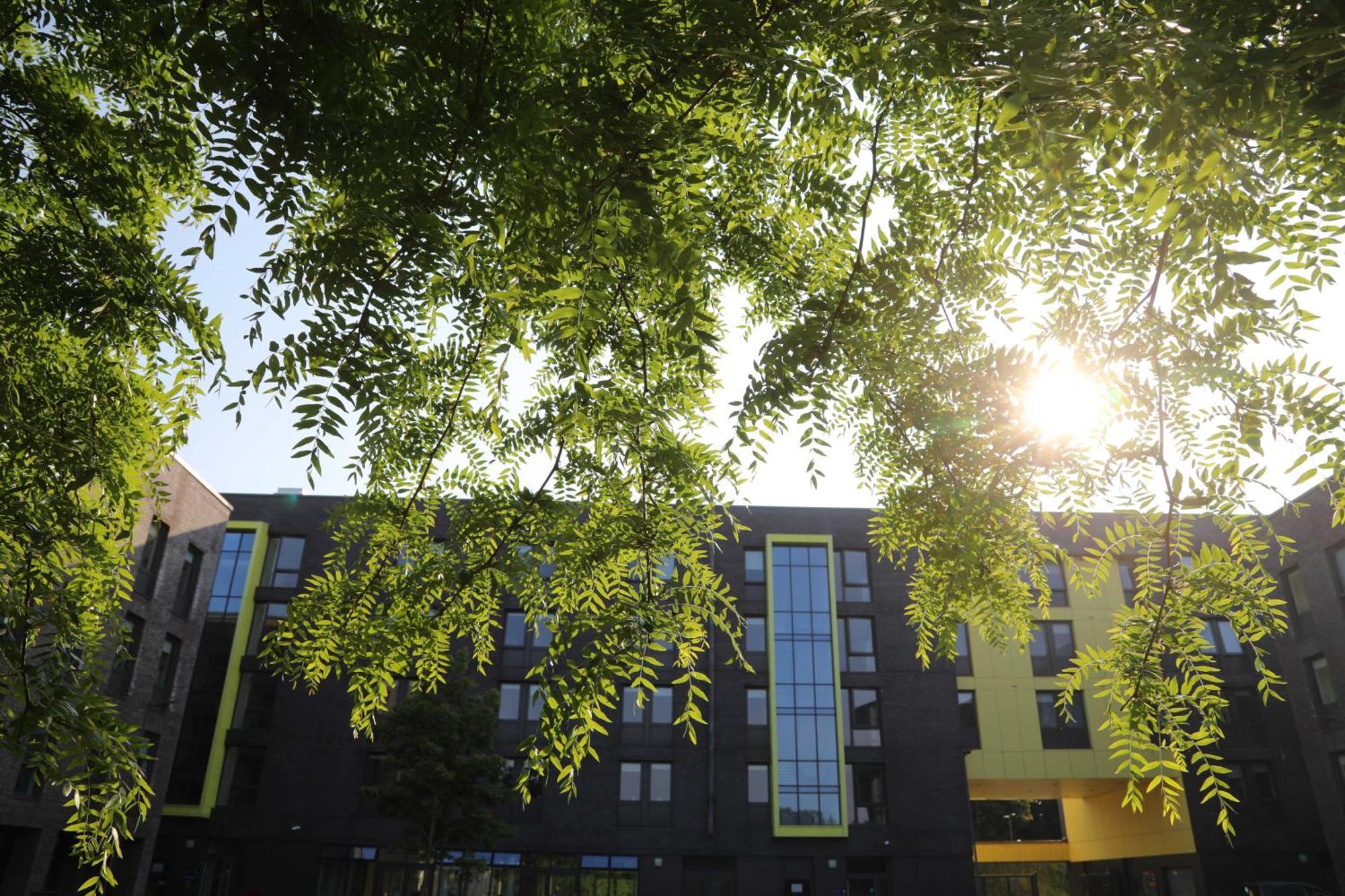 Goldcrest Village Apartments University Of Galway Luaran gambar